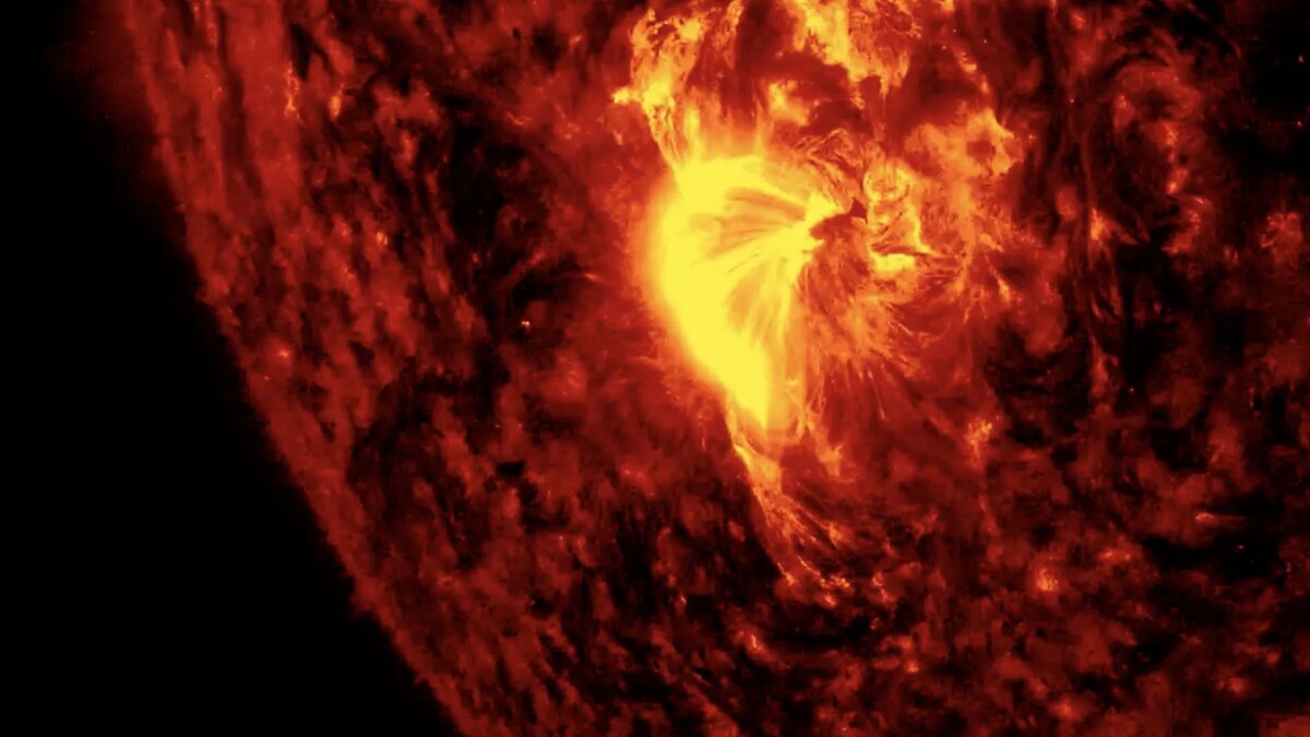 Фото: Лаборатория солнечной астрономии (XRAS)/Telegram