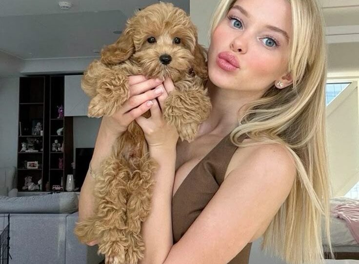 Привычка отвлекаться: что делать?