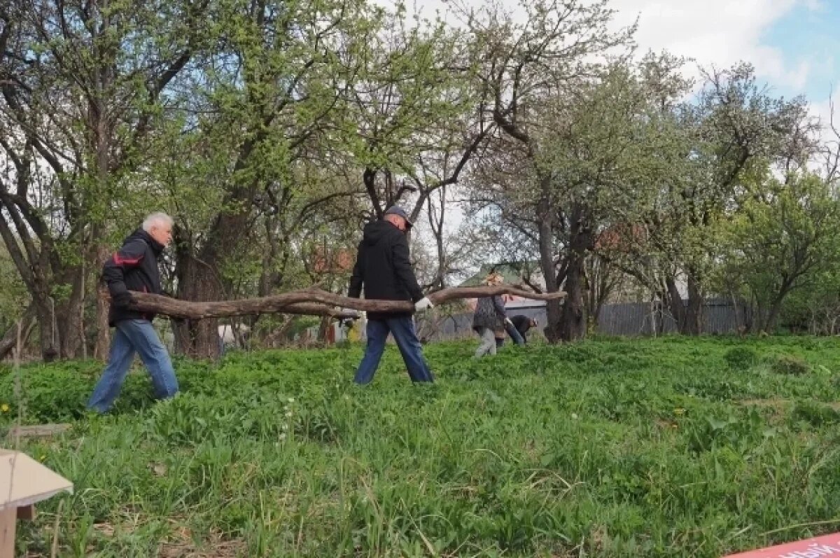    Владислав Шапша объявил месячник благоустройства в Калужской области