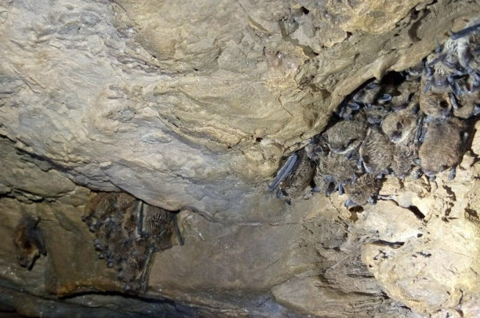    Фото: ПГНИУ