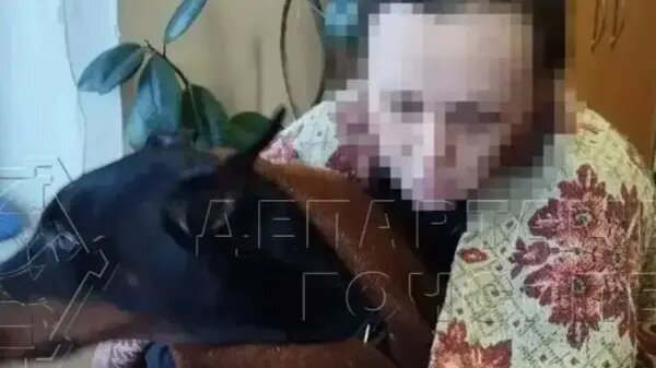    Источник: vm.ru/ Виктория Николаева