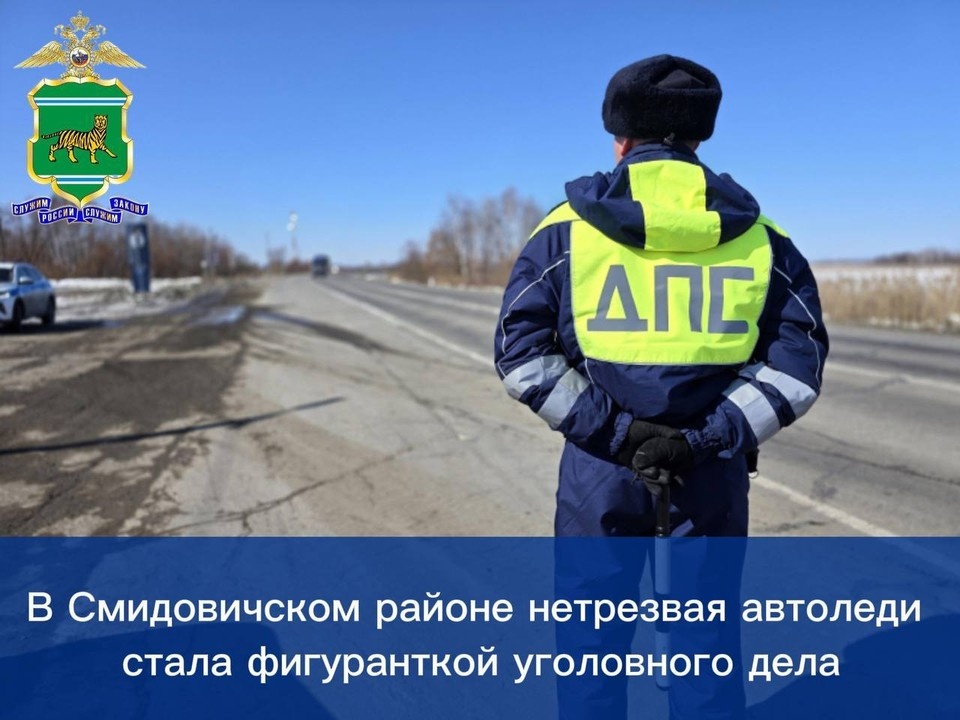    Фото: полиция ЕАО