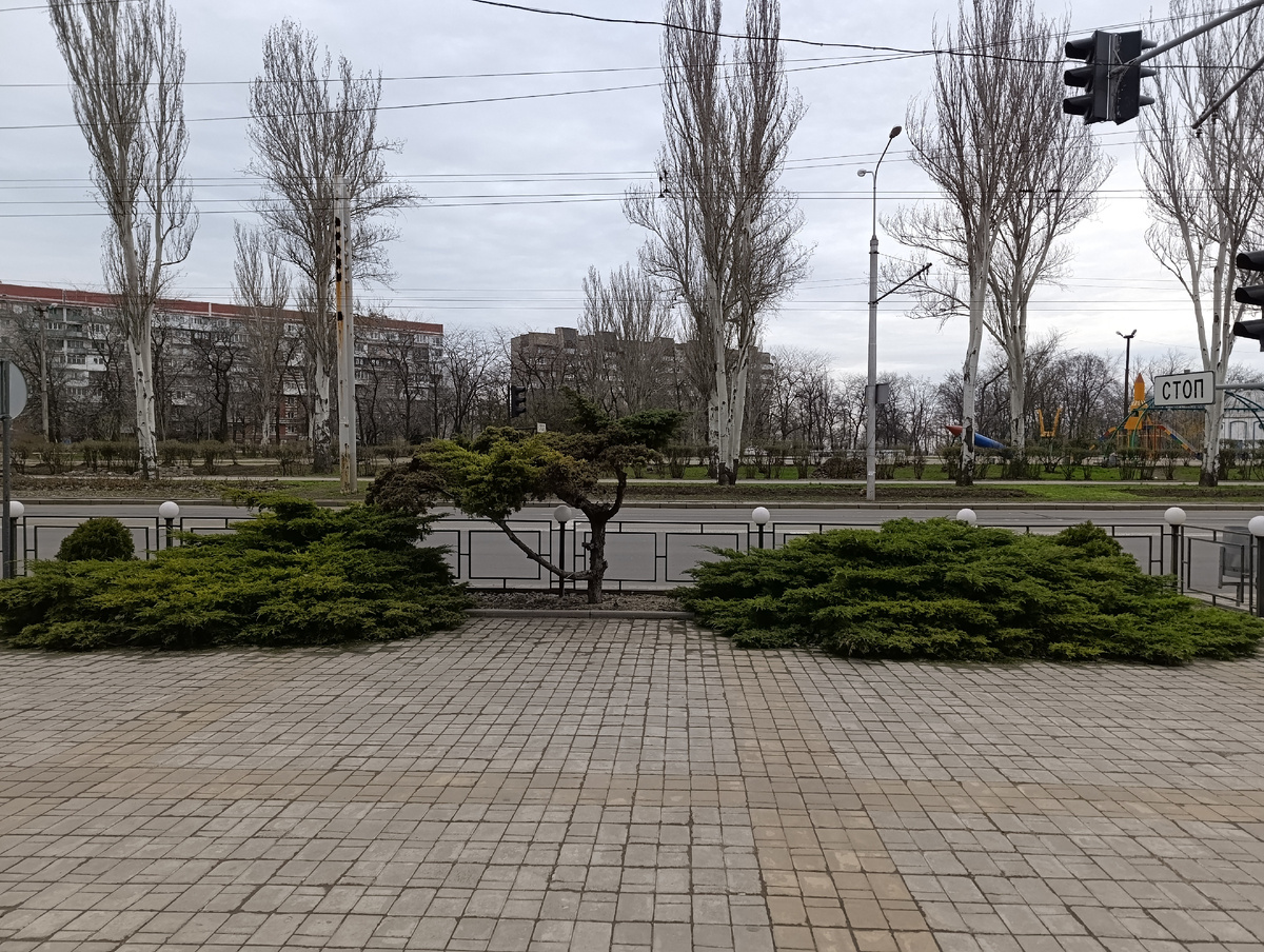 Возле ТРЦ "Донецк Сити".