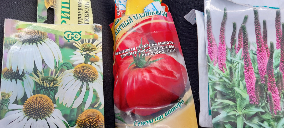 Удержалась от явно лишних посевов овощей и цветов на рассаду