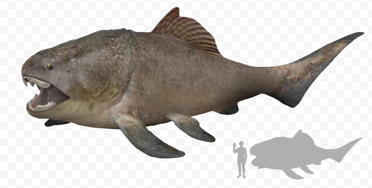 Дунклеостей