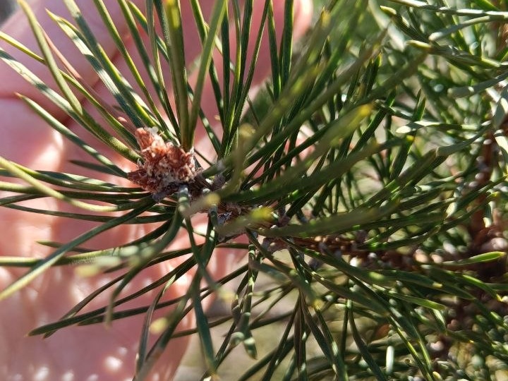 Весна...Погода сейчас такая странная, чтобы ни одел: то холодно, то жарко