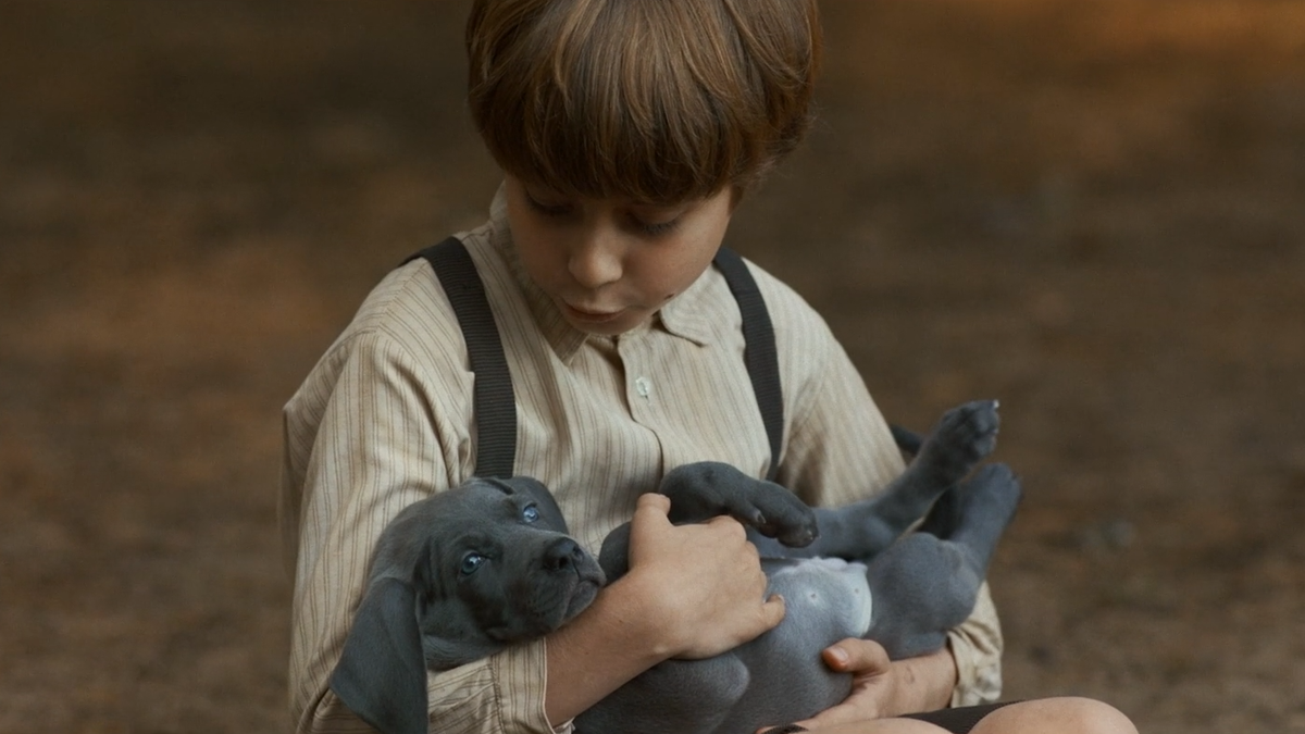 Кадр из фильма «Каруза»