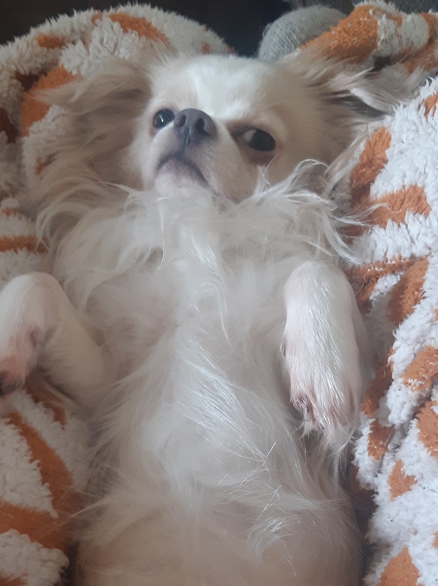 Микки проснулся-потянулся))