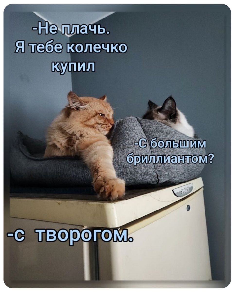 Картинка из интернета))