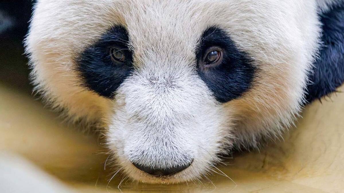    Фото: mos.ru / Олег Сосницкий