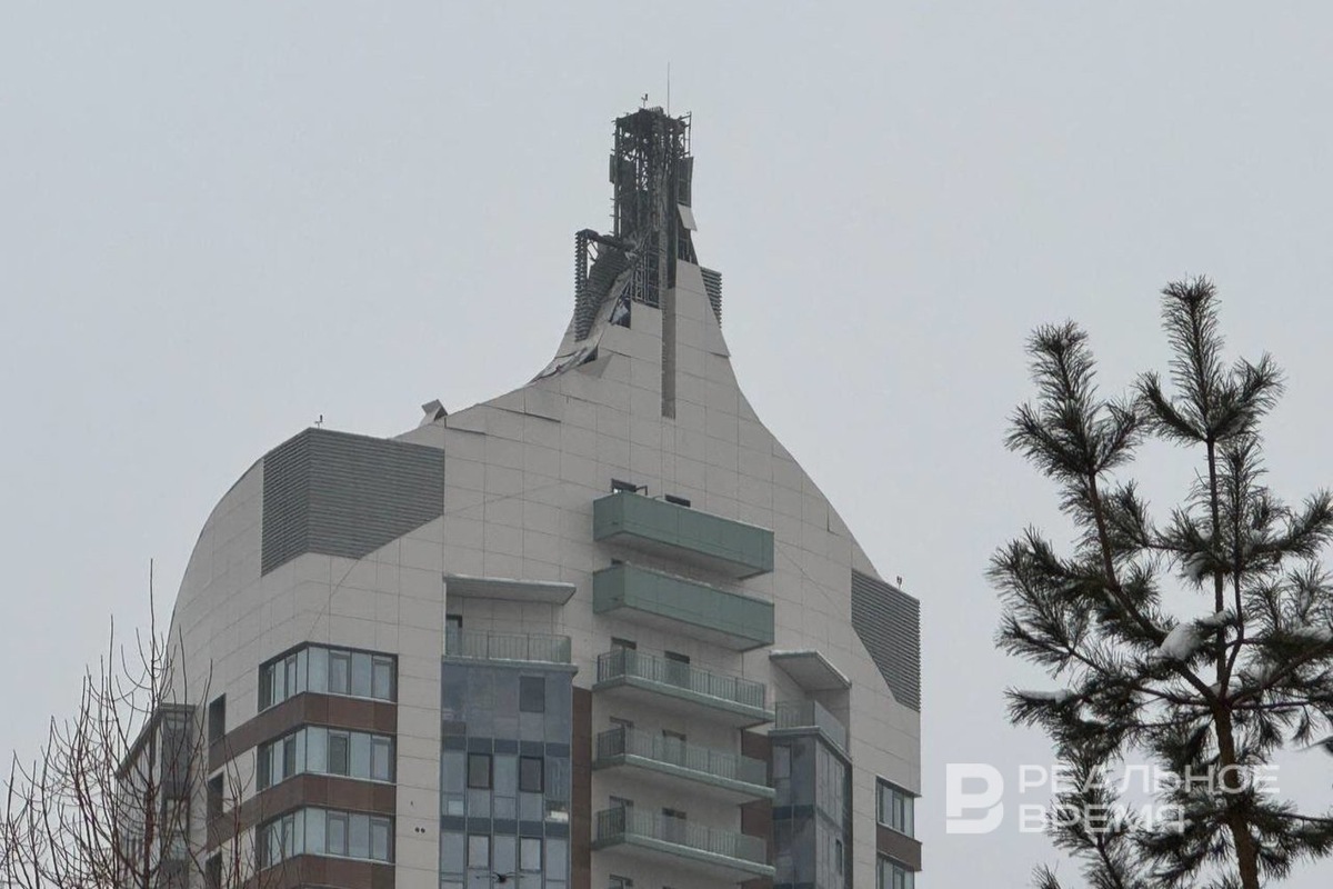   Дарья Пинегина / realnoevremya.ru