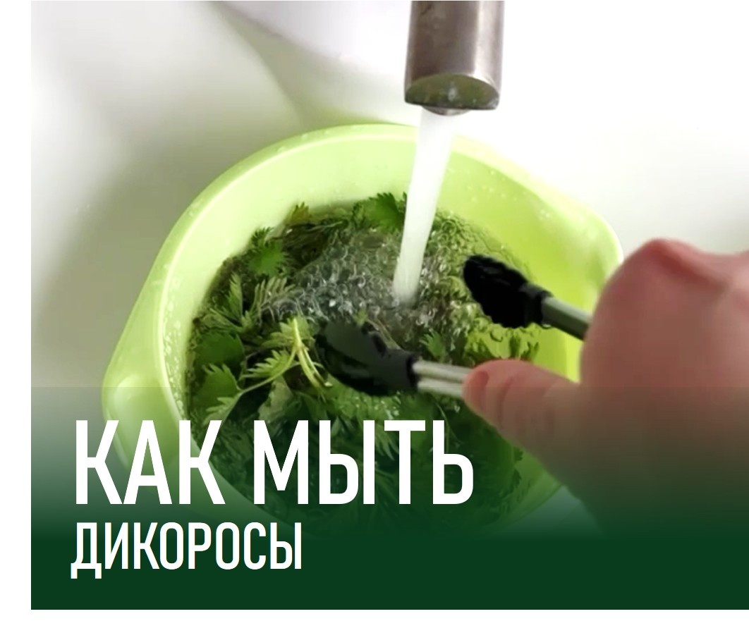 Крапиву, сныть, одуванчики