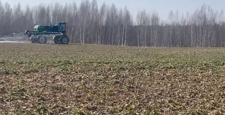    Фото: Минсельхоз Смоленской области