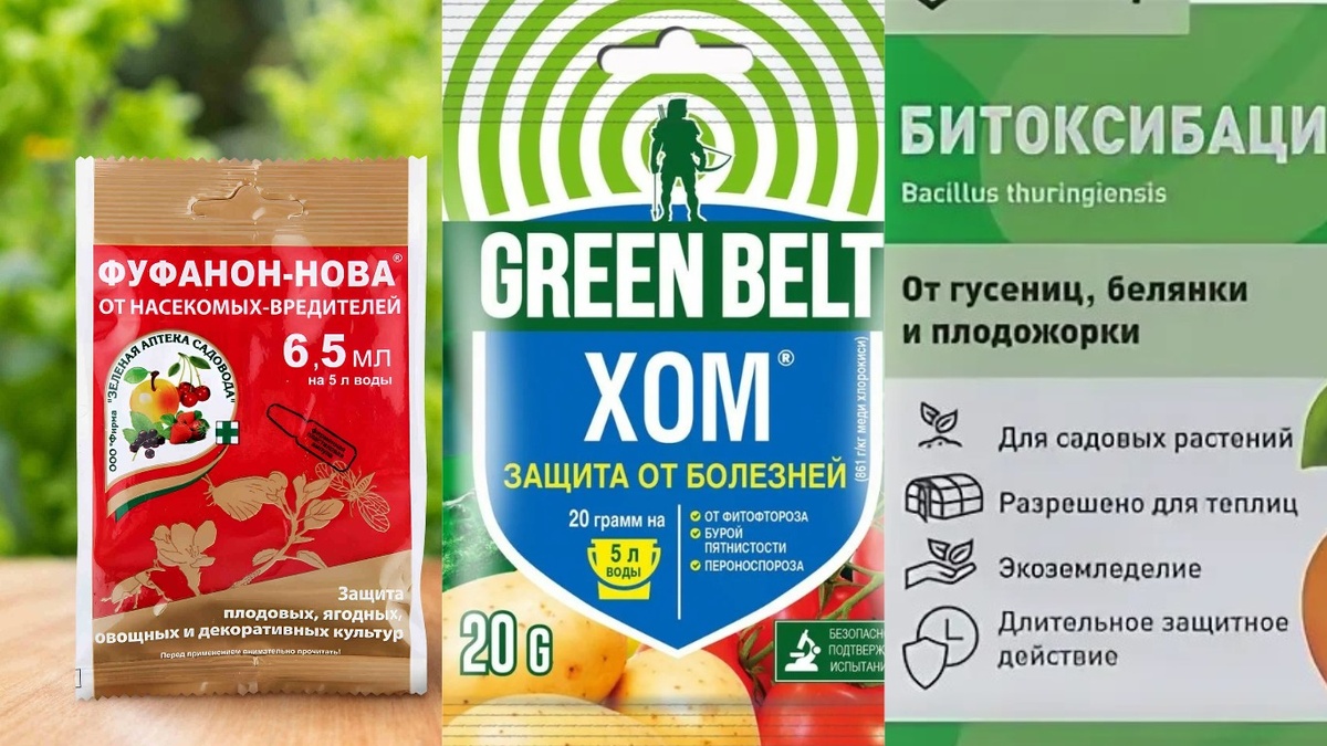 Три препарата, которые закрывают большинство проблем со смородиной и малиной