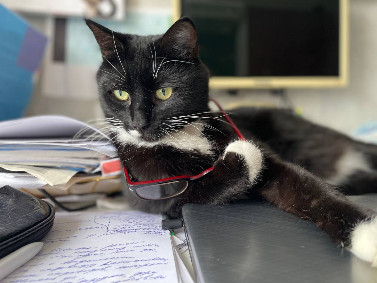 Давайте разбираться по-научному 