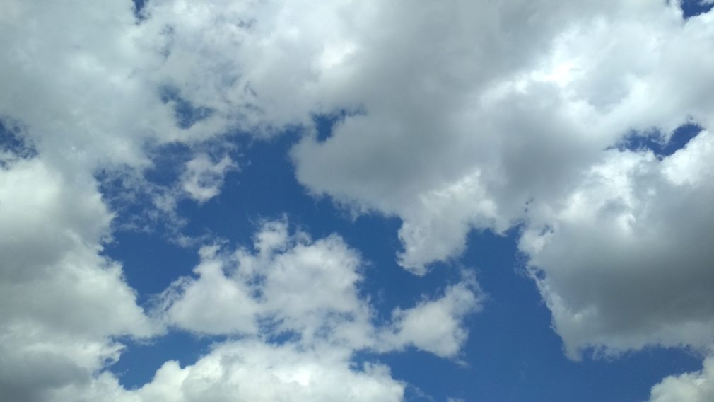    Фото: СвоёТВ Кира Лютова