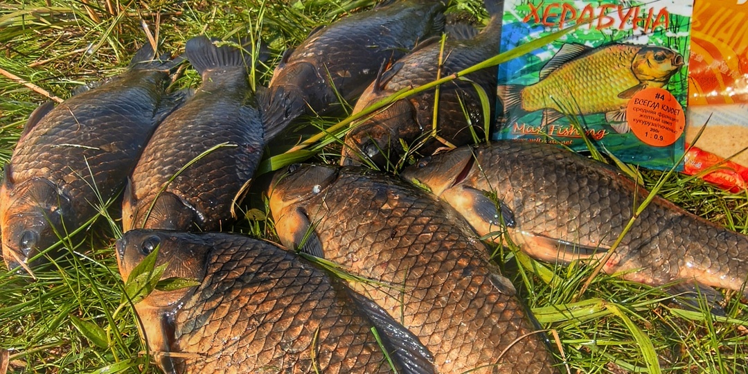 Херабуна и Азиатская Поплавочная Удочка - эффективность реальна?