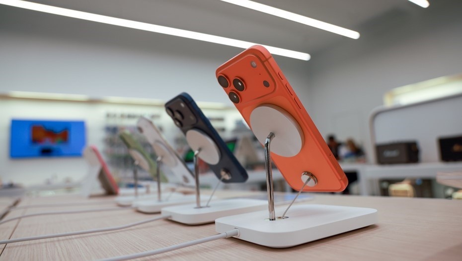    Автор фото: 19 STUDIO / Shutterstock / FOTODOM