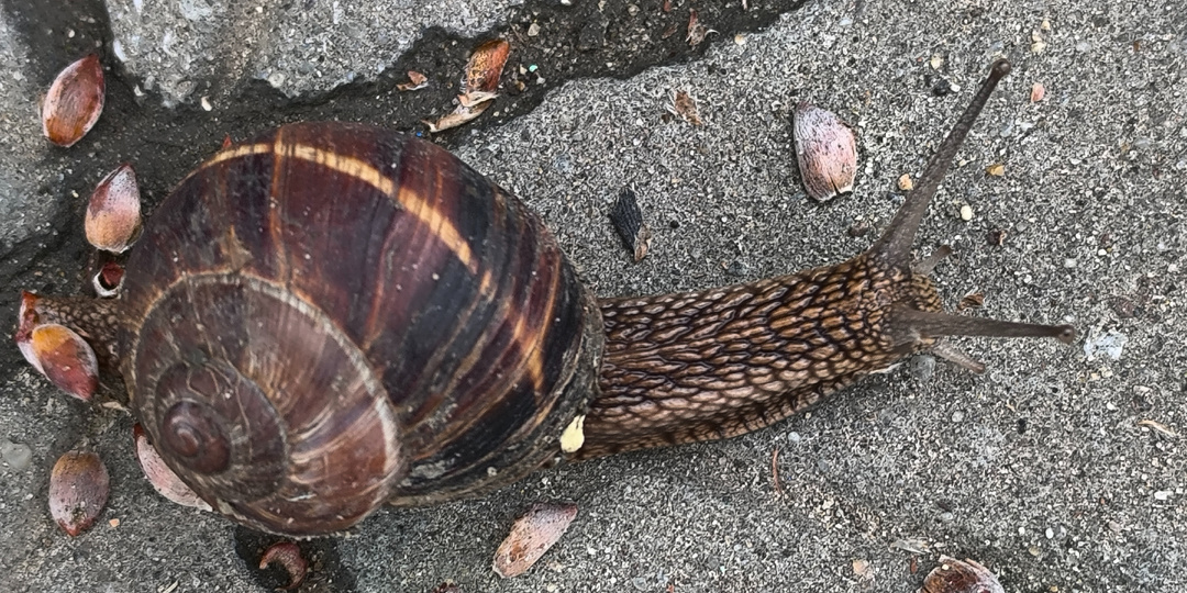 Понедельник. 30.03.26 Учусь не спешить...