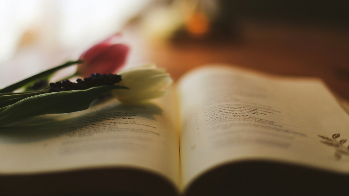 Автор: Jessica Fadel