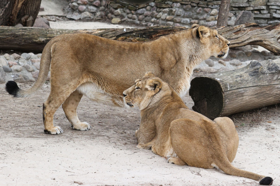    Сергей Булкин/NEWS.ru