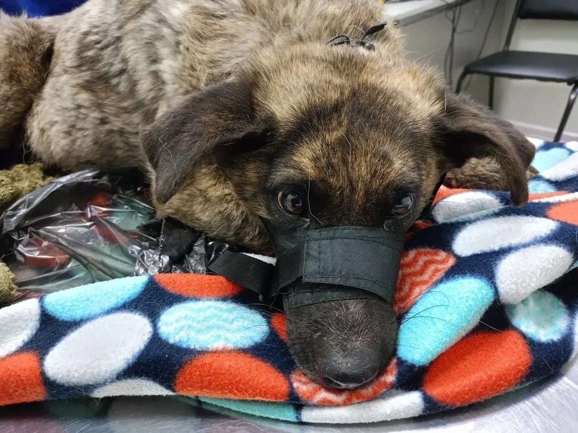 Её судьбу изменили вы!