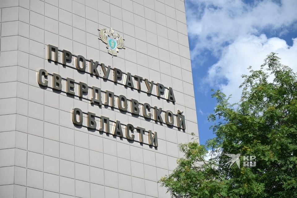    Прокуратура начала проверку по сообщению об избиении Ольга ЮШКОВА