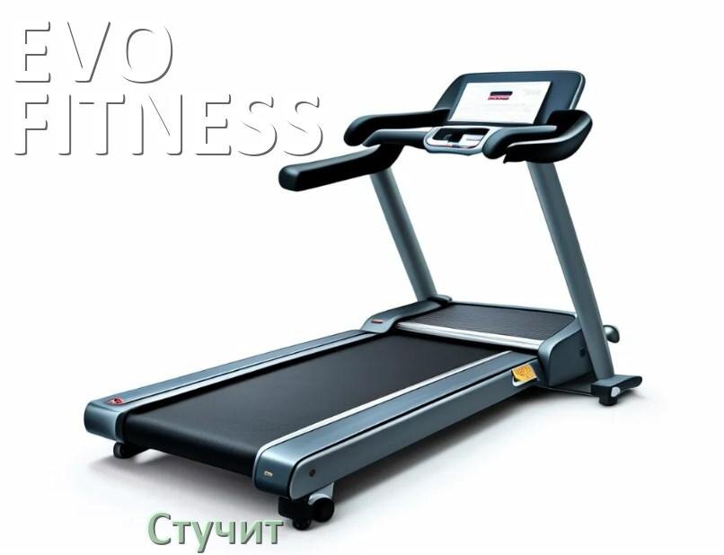 
Почему стучит беговая дорожка EVO FITNESS при работе и что делать
