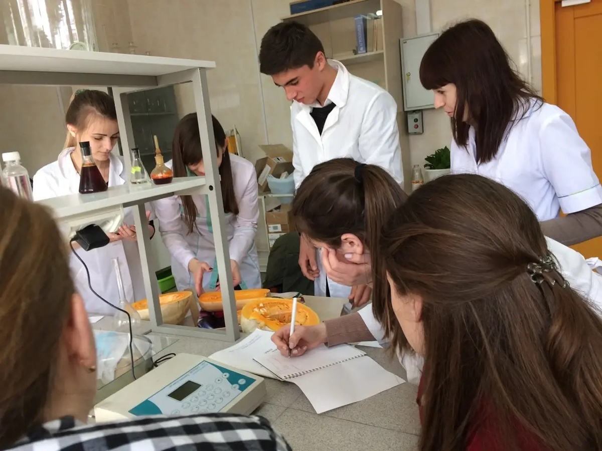 На фото: групповой исследовательский проект «Определение содержания органических кислот и бета-каротина в адыгейской тыкве, выращенной в разных районах Республики Адыгея»