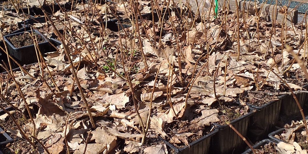 СНЕГ СОШЕЛ, НАЧИНАЕМ ОТПРАВКУ!