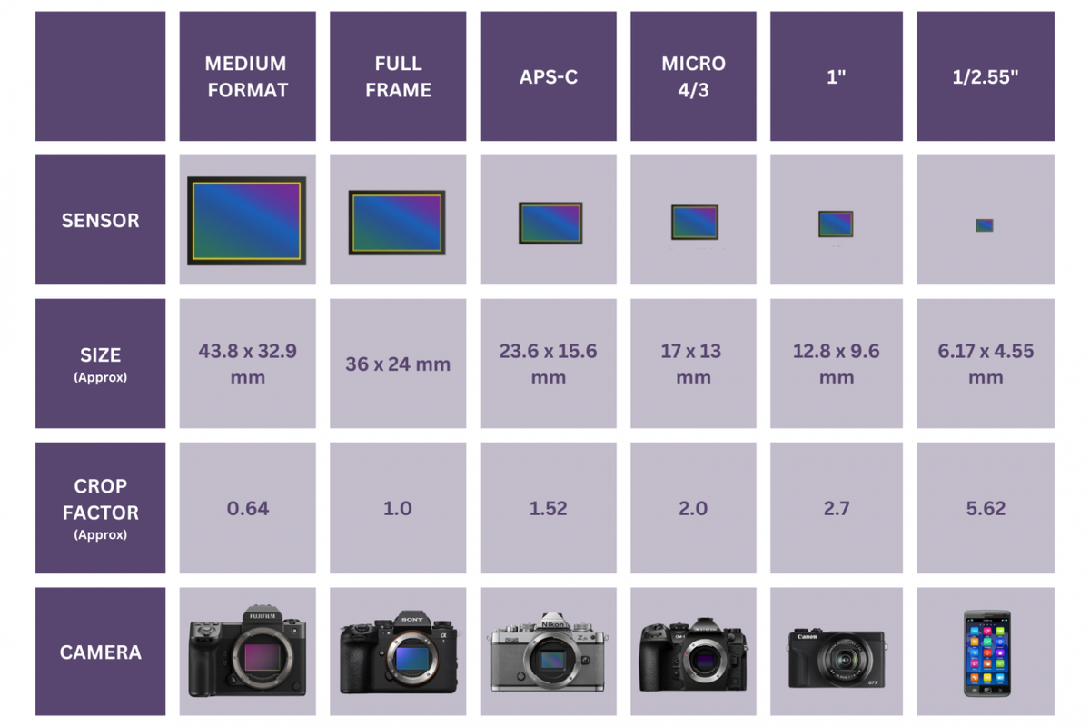 Физический размер фотосенсора в разных устройствах. Большой размер позволяет увеличить размер и чувствительность отдельных ячеек, уменьшить тепловой шум и повысить разрешение