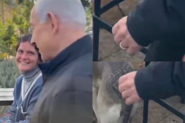    Кольцо Нетаньяху Фото: Кадр из видео/ Социальные сети / Коллаж АиФ