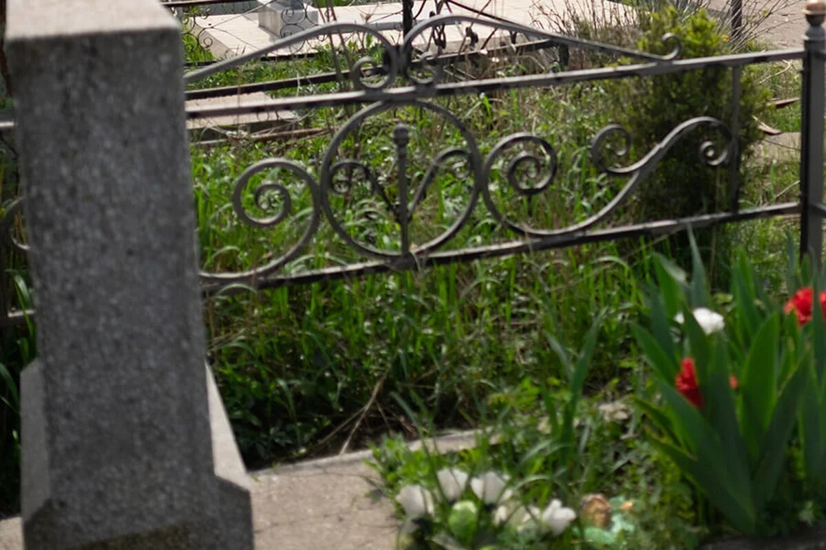    Фото Николая Хижняка, «Кубань 24»