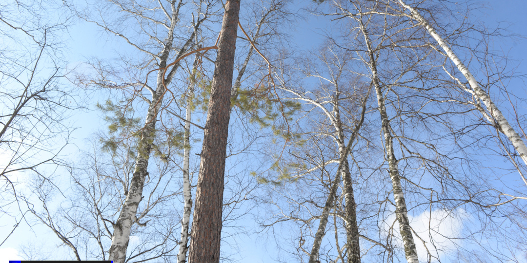 Природоохранная прокуратура защитила особо охраняемые территории Томской области через суд