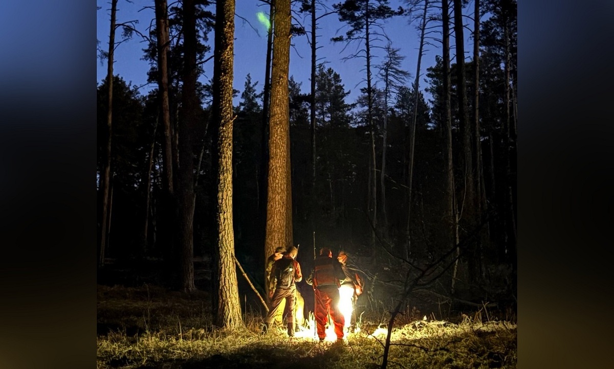     Фото: поисковый отряд «Лиза Алерт»