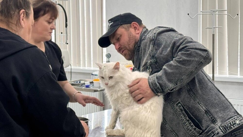    Боню осмотрели, взяли необходимые анализы. Фото: Правительство Севастополя/ Михаил Развожаев