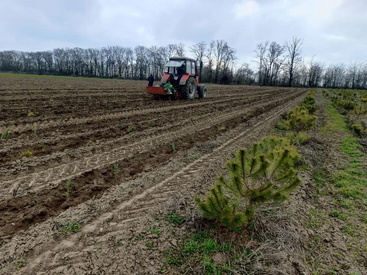    Фото: пресс-служба Минприроды Херсонской области