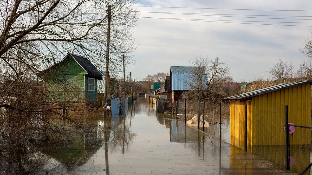    Источник: vm.ru/ Сергей Гуляев