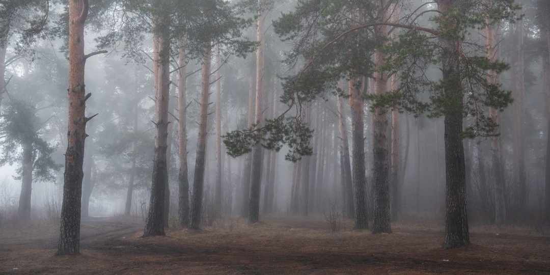 Туманы межсезонья