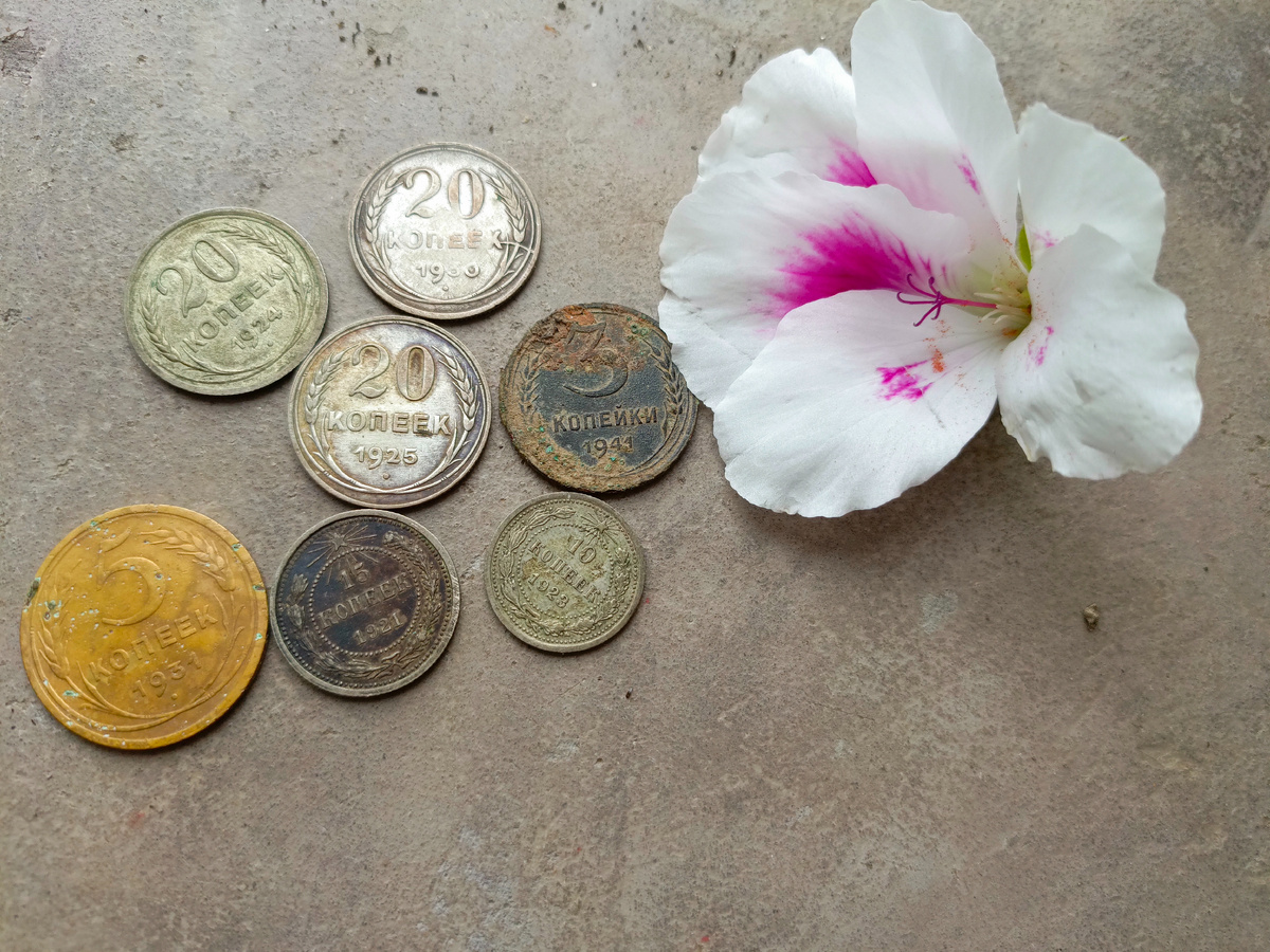 Вот таких денежек накопал