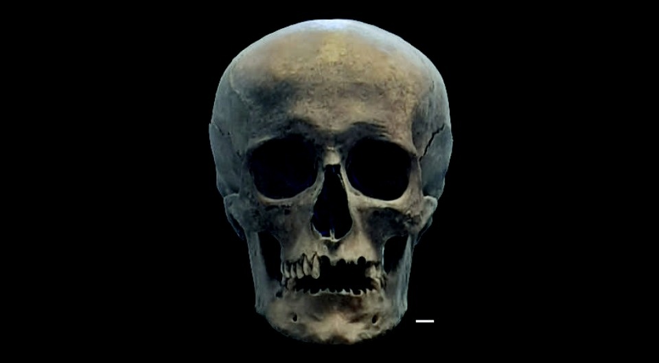   Татьяна Андреева и др. / Российская археология, 2025