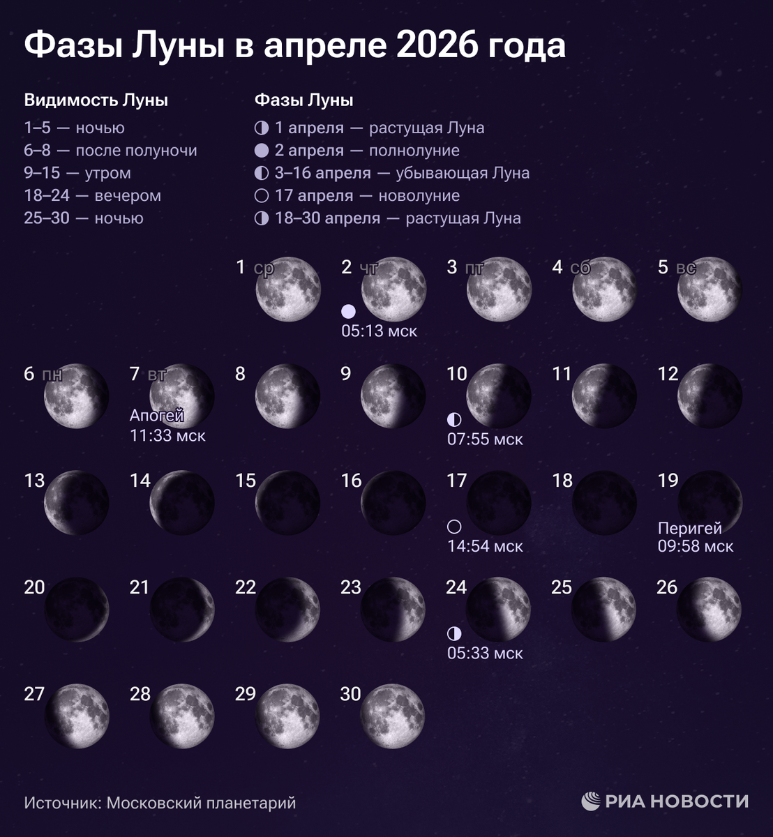    Инфографика