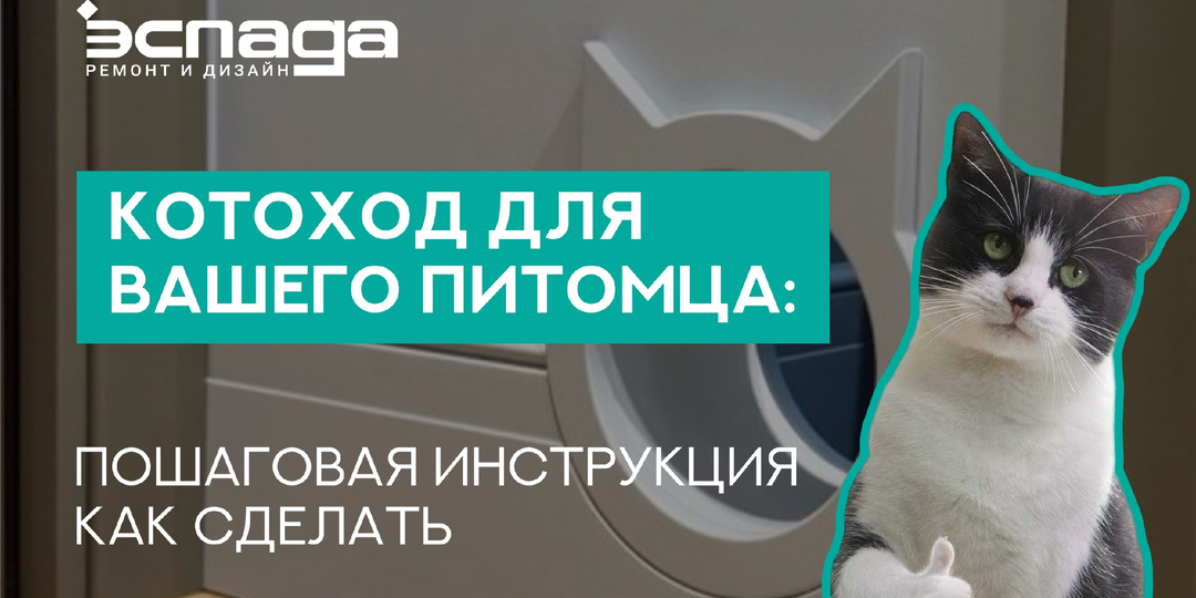 Котоход для любимого пушистика: пошаговая инструкция как сделать