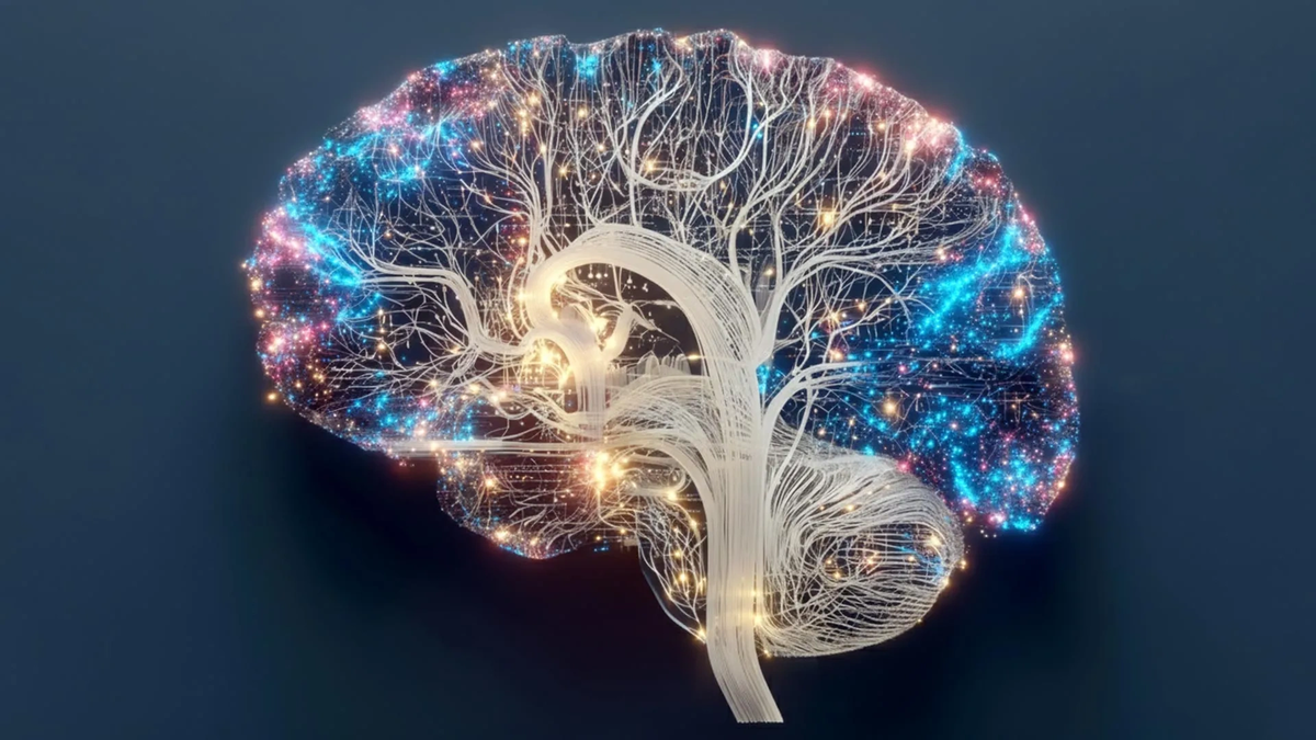    Новый атлас представляет собой шаблон того, как должен развиваться и стареть здоровый мозг. Он может служить полезным ориентиром для врачей при выявлении ранних признаков неврологических заболеваний.