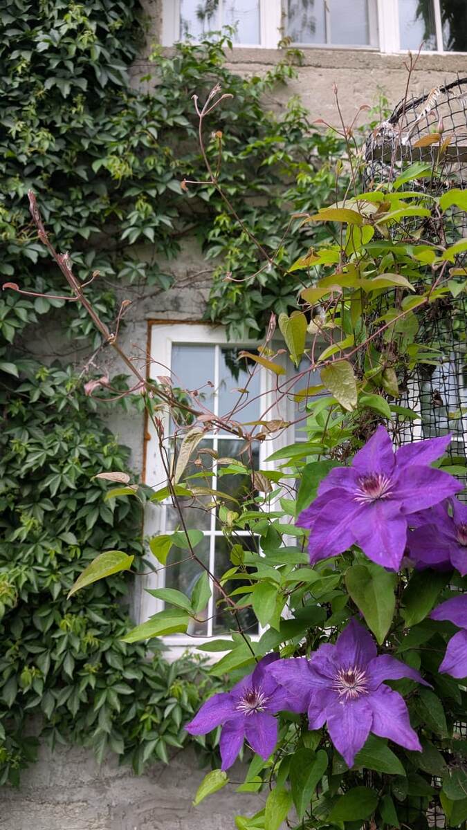 Мой дом вот