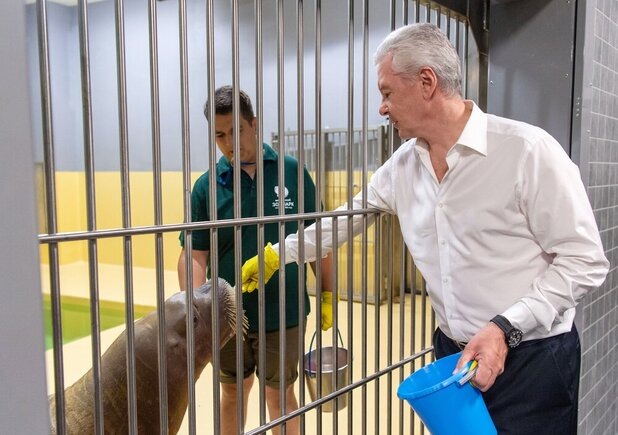 Фото: Владимир Новиков, пресс-служба мэра и правительства города