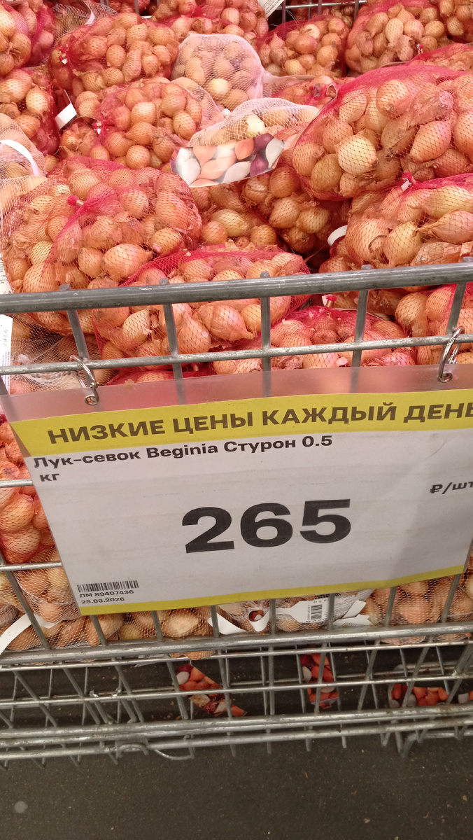 Фото автора.