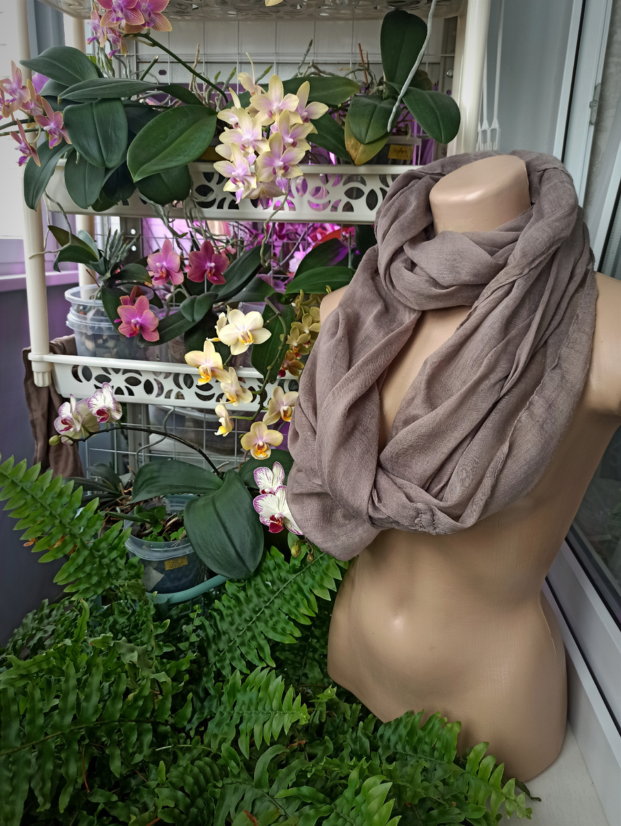 Фото на скорую руку 