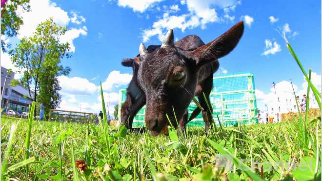 Фото: Анастасия Илюшина/47 канал, архив
