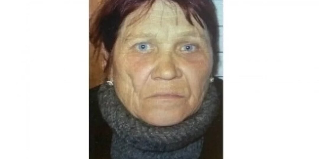 В деревне Бежецкого округа пенсионерка ушла из дома с собакой и пропала